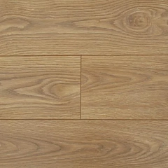 Дуб Элегант