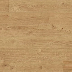 OAK TOLEDO