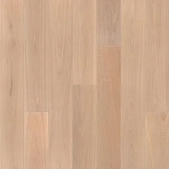 Дуб Ладога