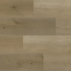 ДУБ МАЙЕРС
