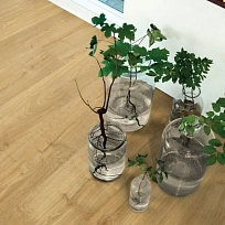 ДУБ ДЕРЕВЕНСКИЙ НАТУРАЛЬНЫЙ  КВАРЦ ВИНИЛ  PERGO LVT  OPTIMUM MODERN PLANK GLUE