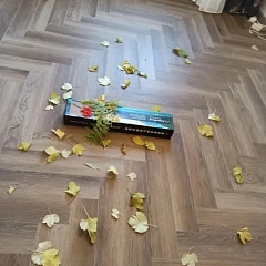 ДУБ КЁЛЬН