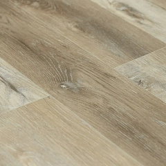 ДУБ БОТАФОГО