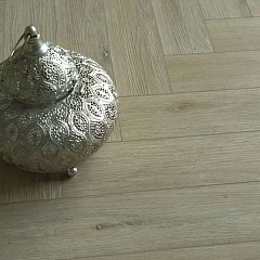 ДУБ ЭЛЕГАНТНЫЙ