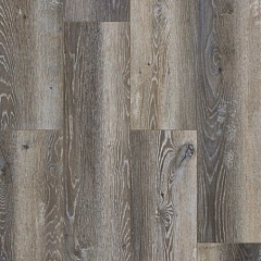 STORM BIRCH