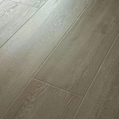 ДУБ ЛЭДИС