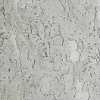 MOUNTAIN SILVER
