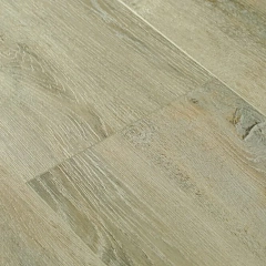 ФОРЕЛЬ