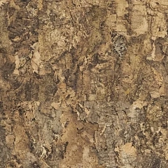 ROCCIA