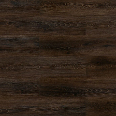 MOUNTAIN CHESTNUT