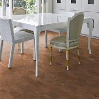 EN16005 BN 260 771 ПРОБКОВОЕ ПОКРЫТИЕ VISCORK ПРОБКОВЫЙ ПОЛ КЛЕЕВОЙ ORGANIC COLOR CORK