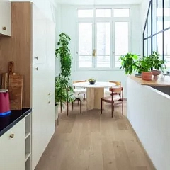 ДУБ БЕРЕГОВОЙ ПЕСЧАНЫЙ